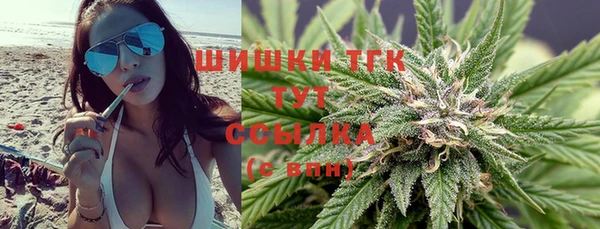 тгк Зеленокумск
