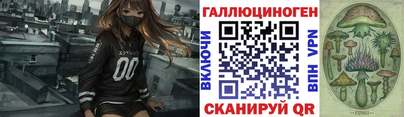 Купить  Суджа  Галлюциногенные грибы Cubensis 