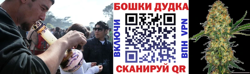 Бошки Шишки Amnesia Суджа